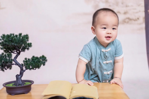 黄骅可爱的企鹅宝宝